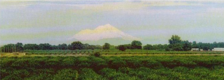 Mont Shasta