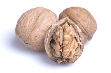 walnut